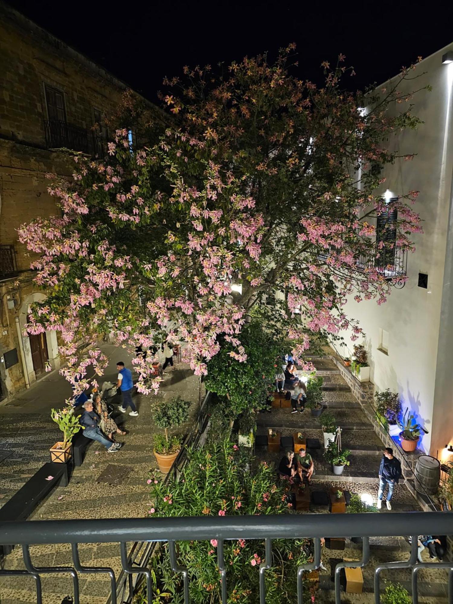 Villa Di Giorgi Apartments Center Чефалу Екстериор снимка